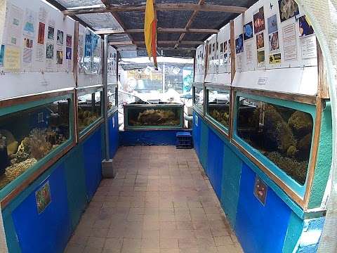 Photo: Aquasearch Aquarium